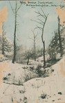 Big Snow, Jan. 1910, Arkadelphia, Ark.