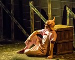 "Charlotte's Web" Production by Theatre Department