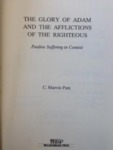 The Glory of Adam and the Afflictions of the Righteous: Pauline Suffering in Context