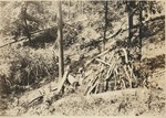 Barton Lumber Company Sale, Fancy Hill by PHO.ONF1134.02
