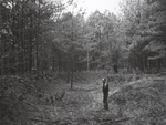 Unidentified Man in Forest Clearing by PHO.ONF0612.01